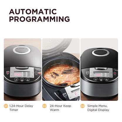 Grand Cuiseur à Riz