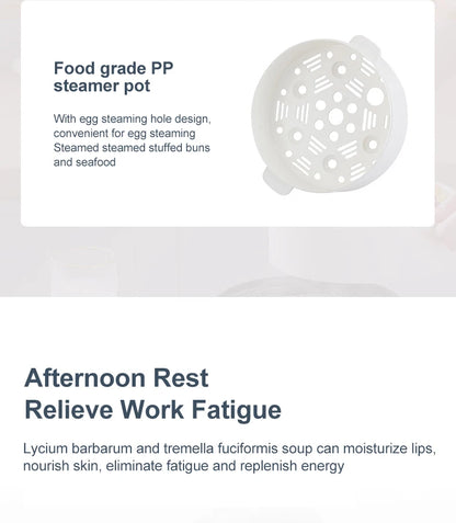 Cuiseur de Riz Japonais