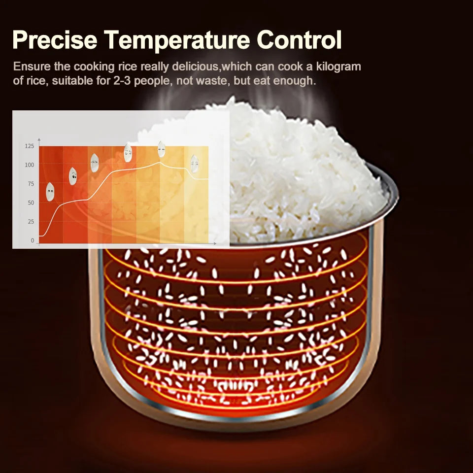 Cuiseur à Riz pour Camping-car