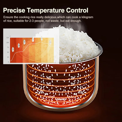 Cuiseur à Riz pour Camping-car