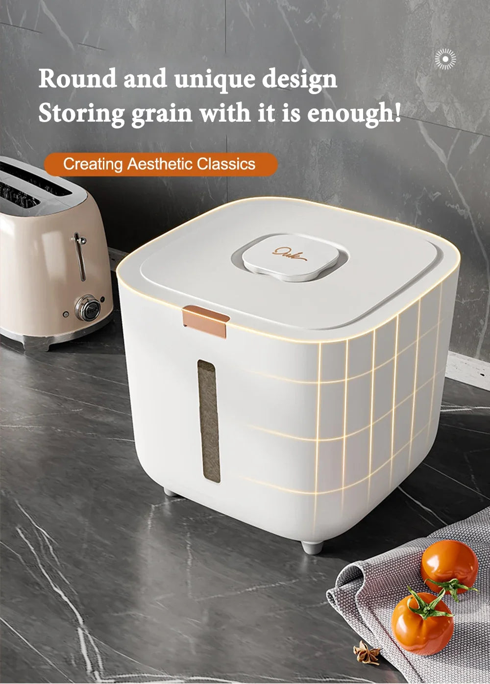 Boite pour Conserver le Riz