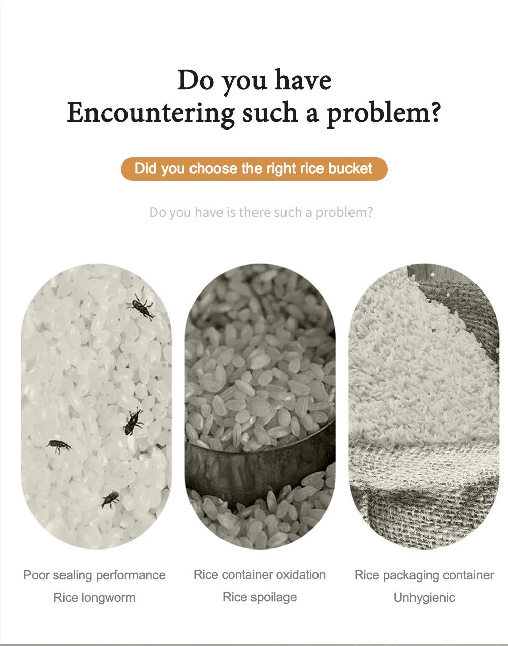 Boite pour Conserver le Riz