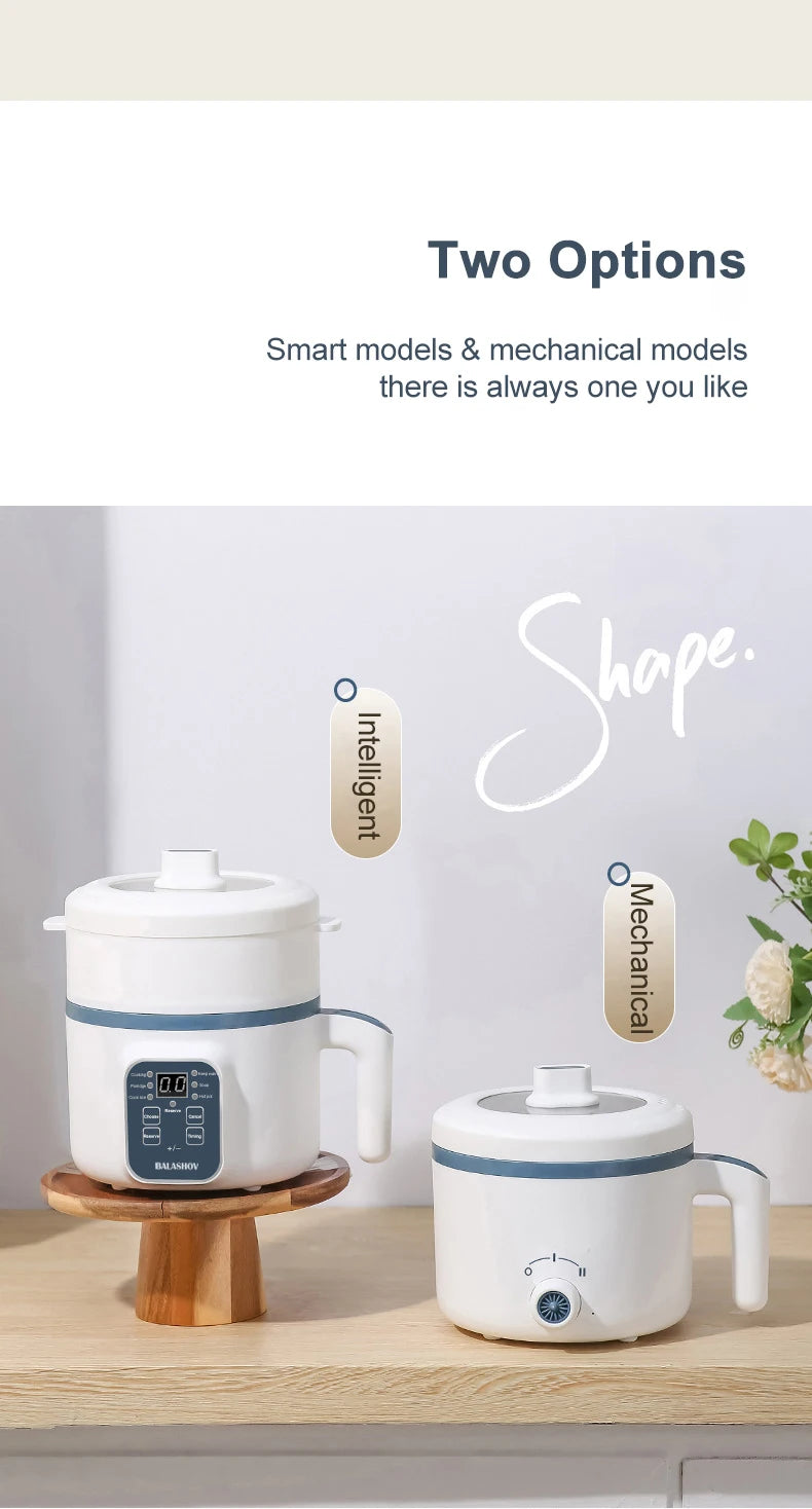 Cuiseur de Riz Japonais